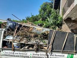 Best Estate Cleanout  in Clayton, NJ